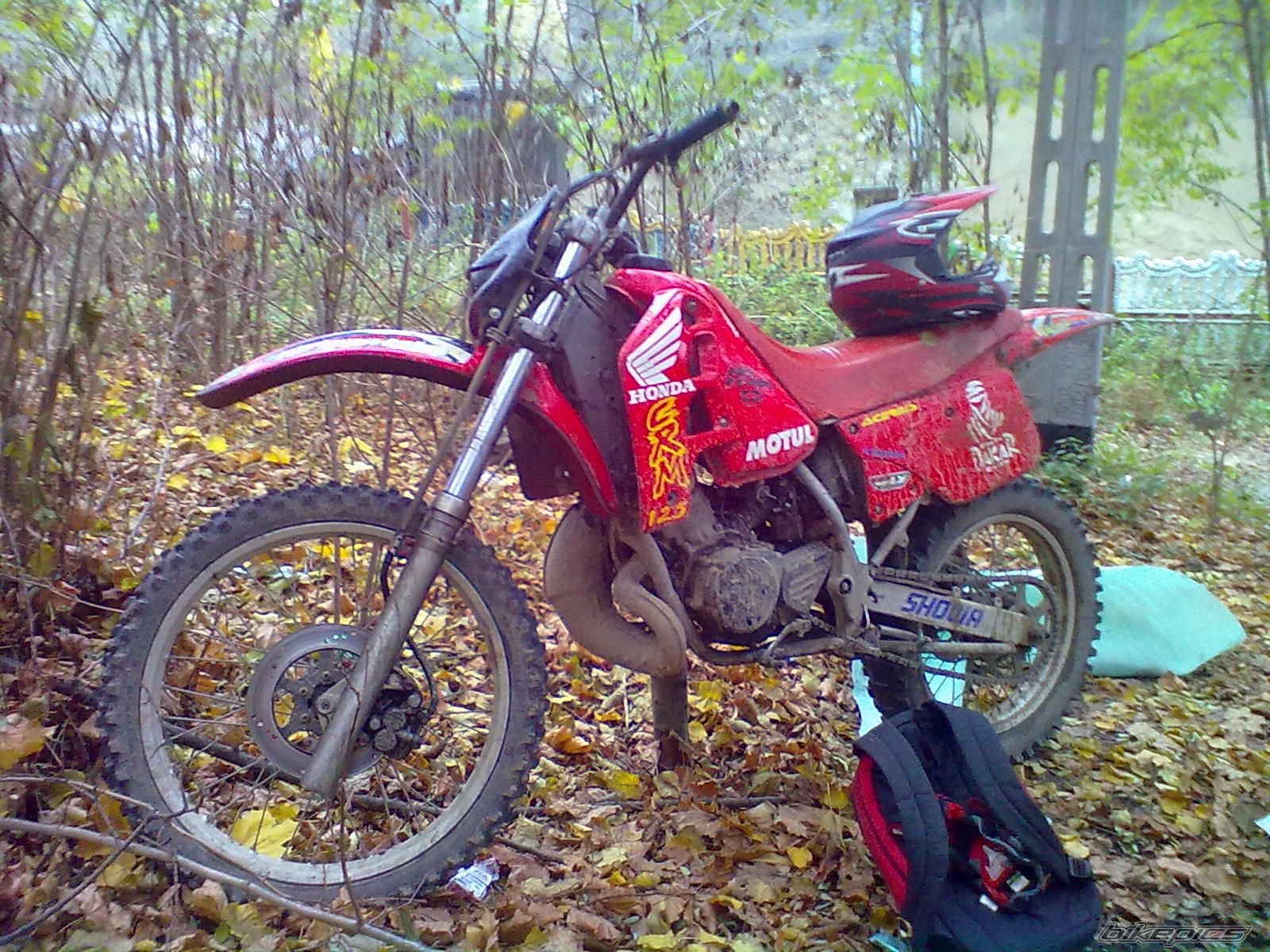 Photo 2295060