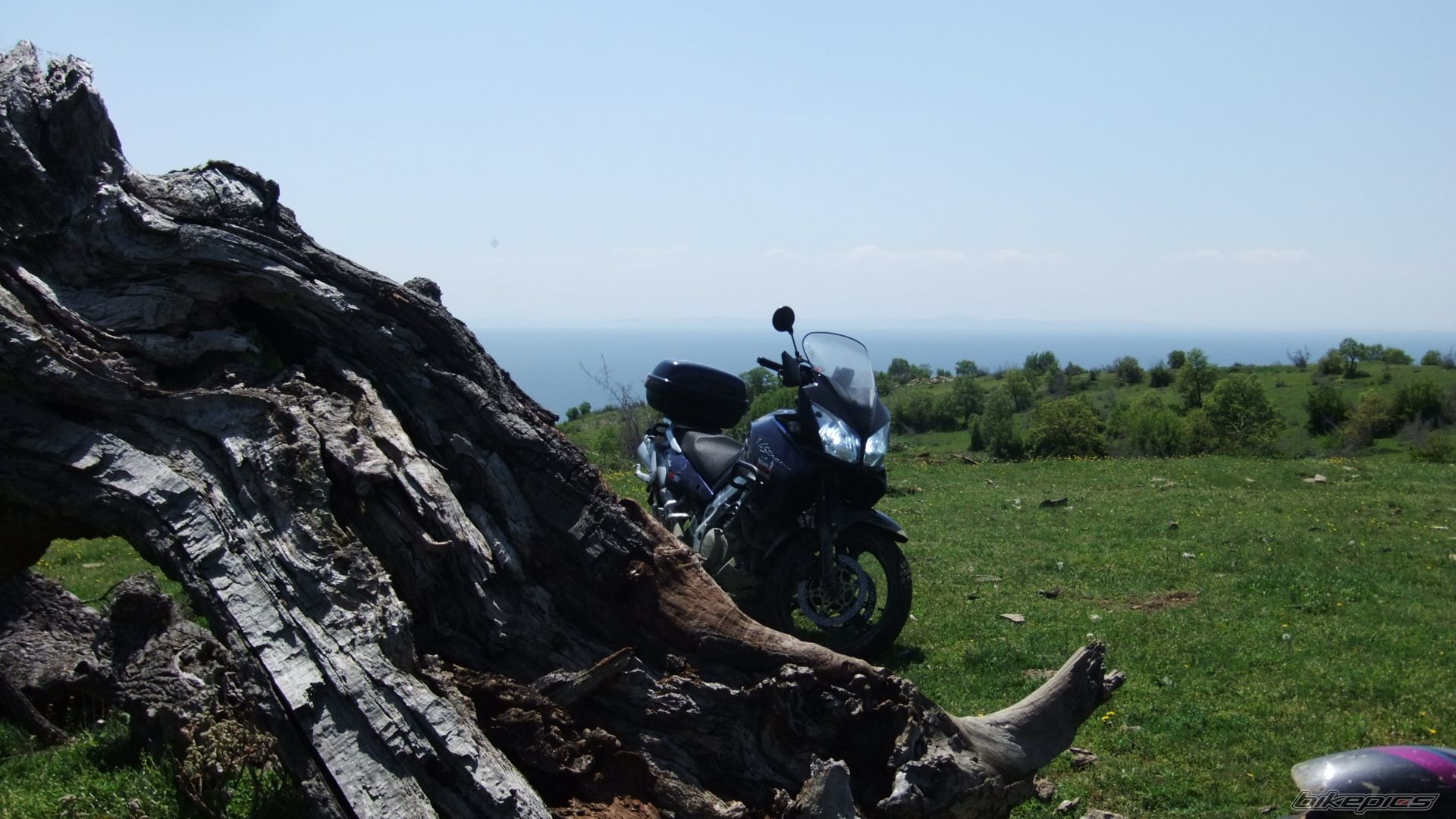 Photo 2295079