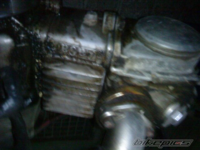 Photo 2295138