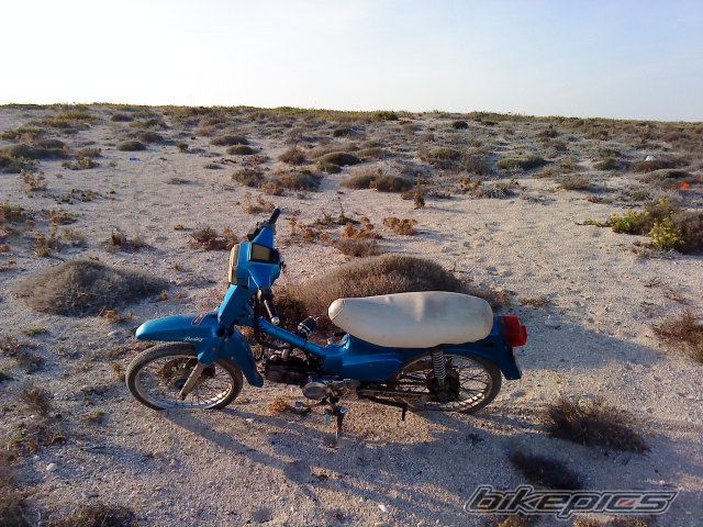 Photo 2295139