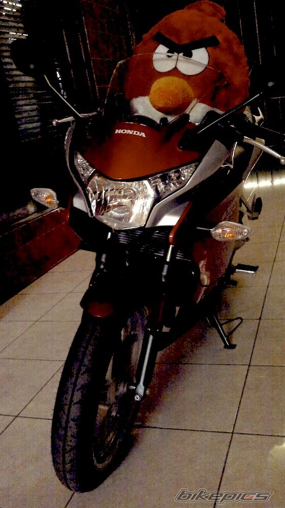Photo 2295172