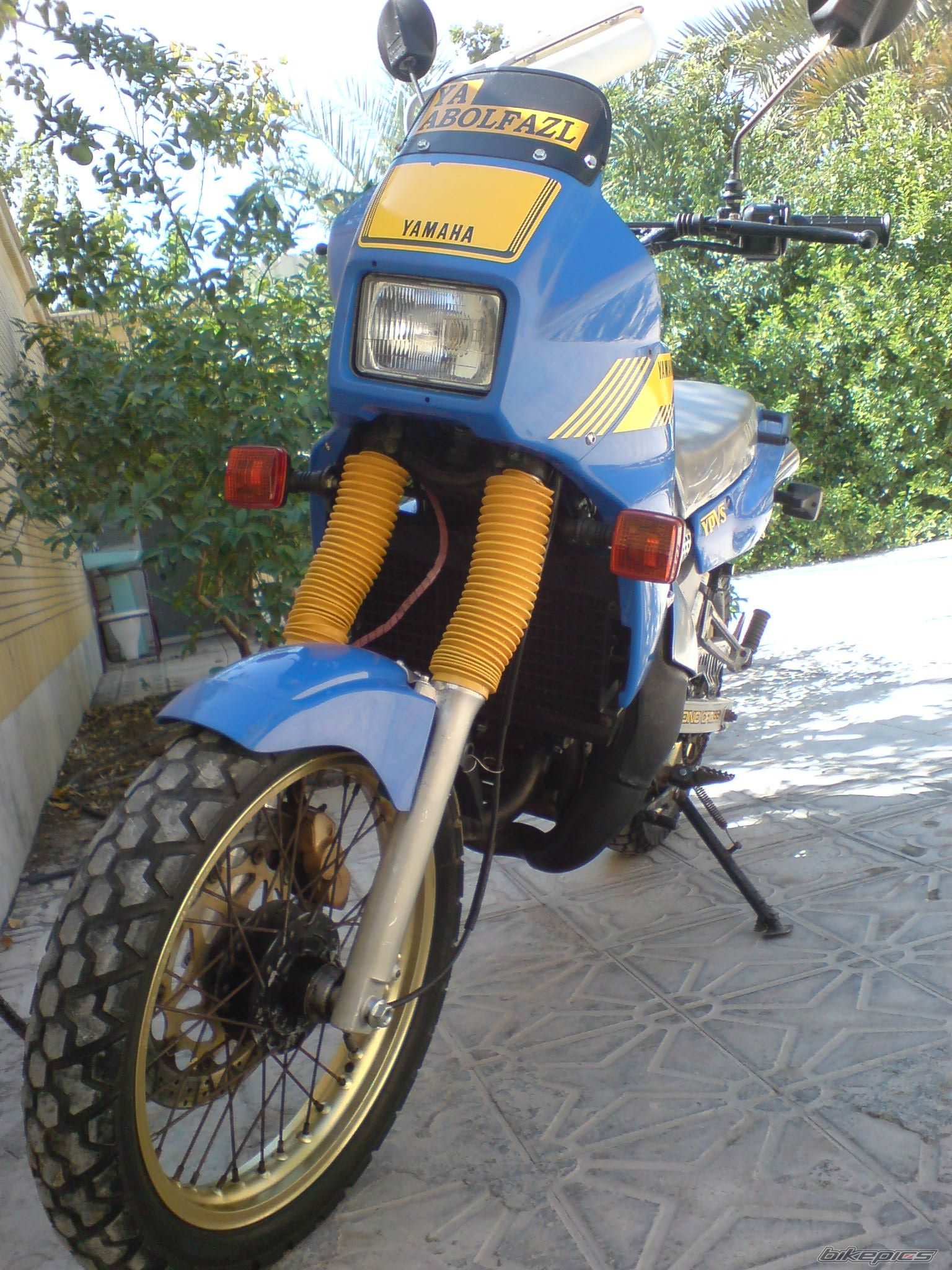 Photo 2295183