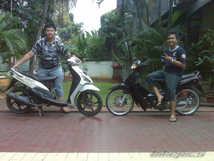 Photo 2295204