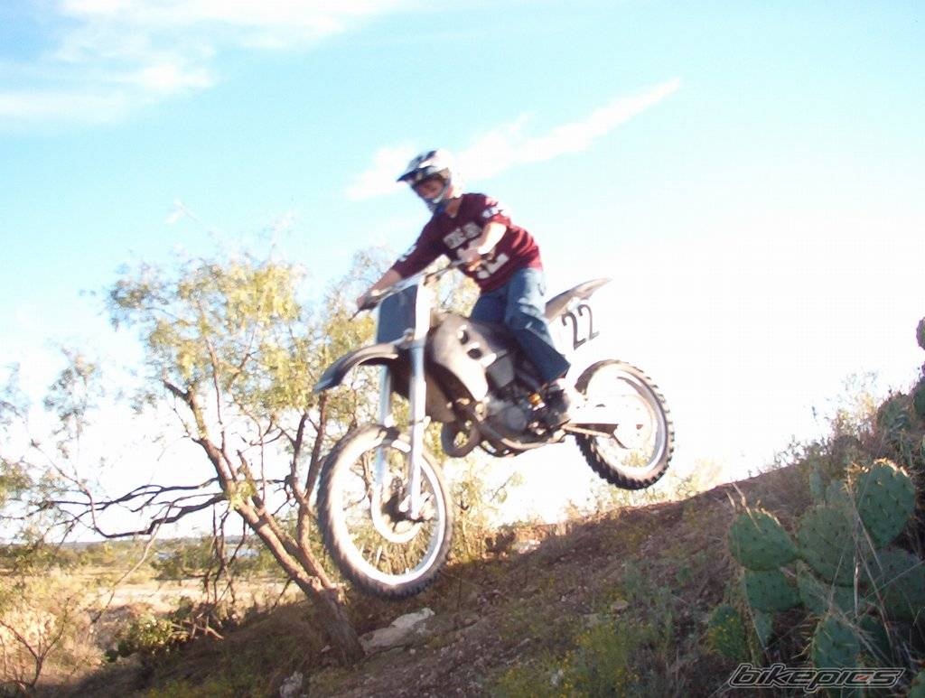 Photo 229525