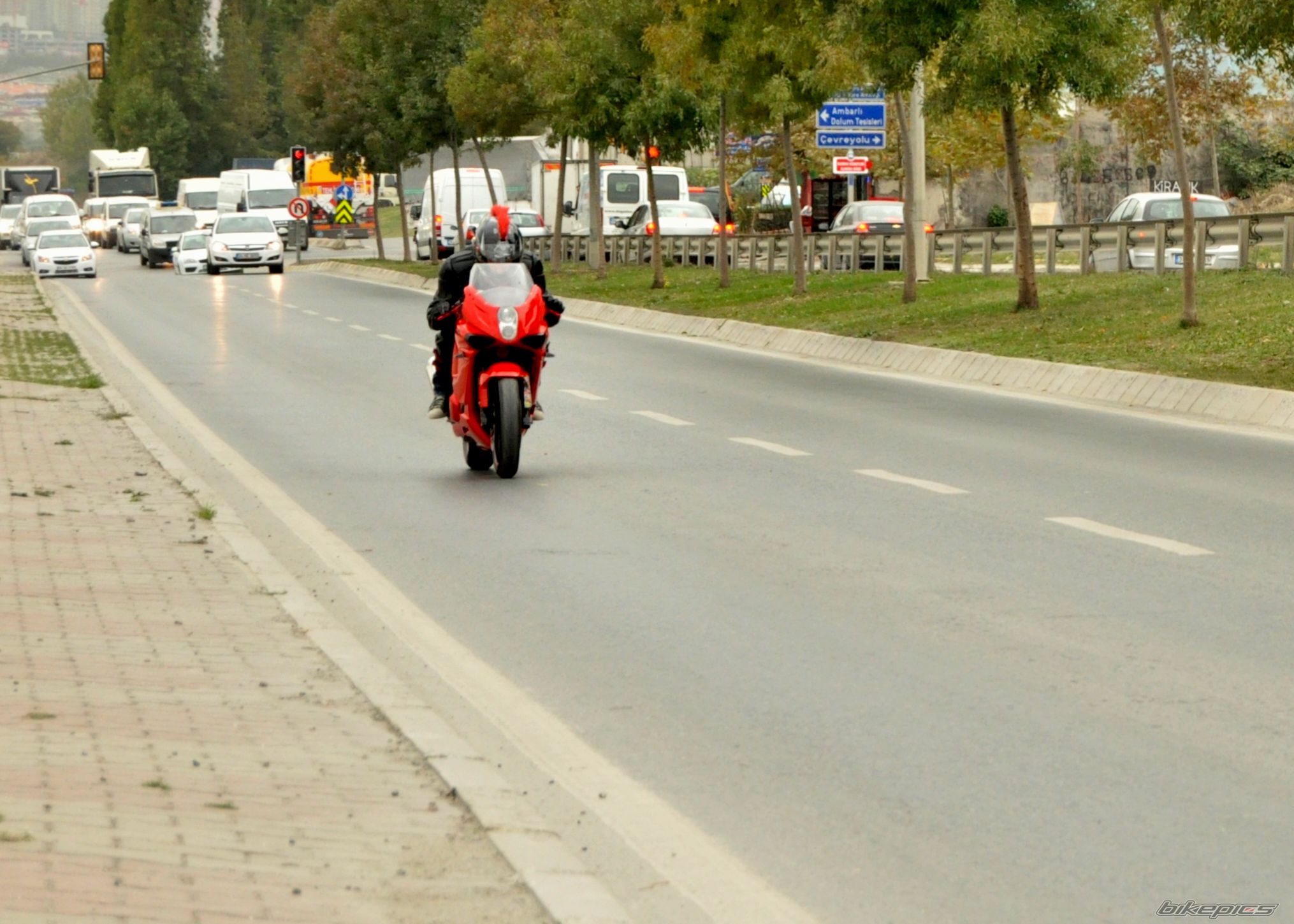 Photo 2295292