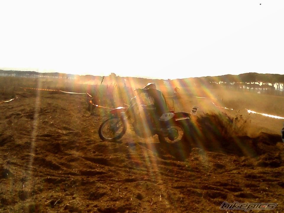 Photo 2295307