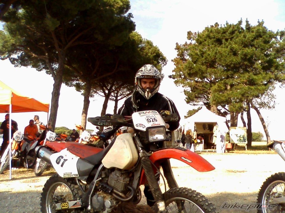 Photo 2295309