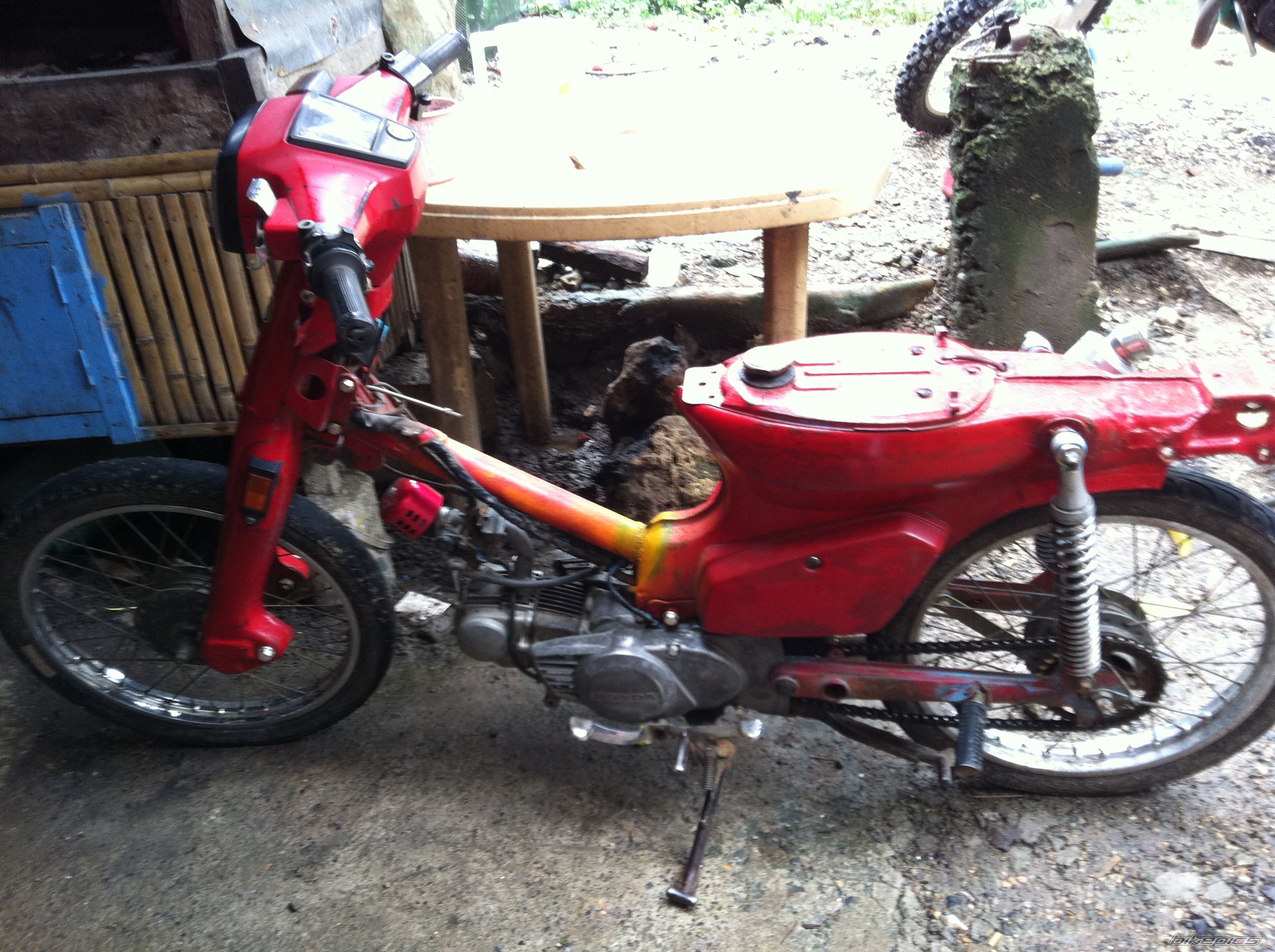 Photo 2295341