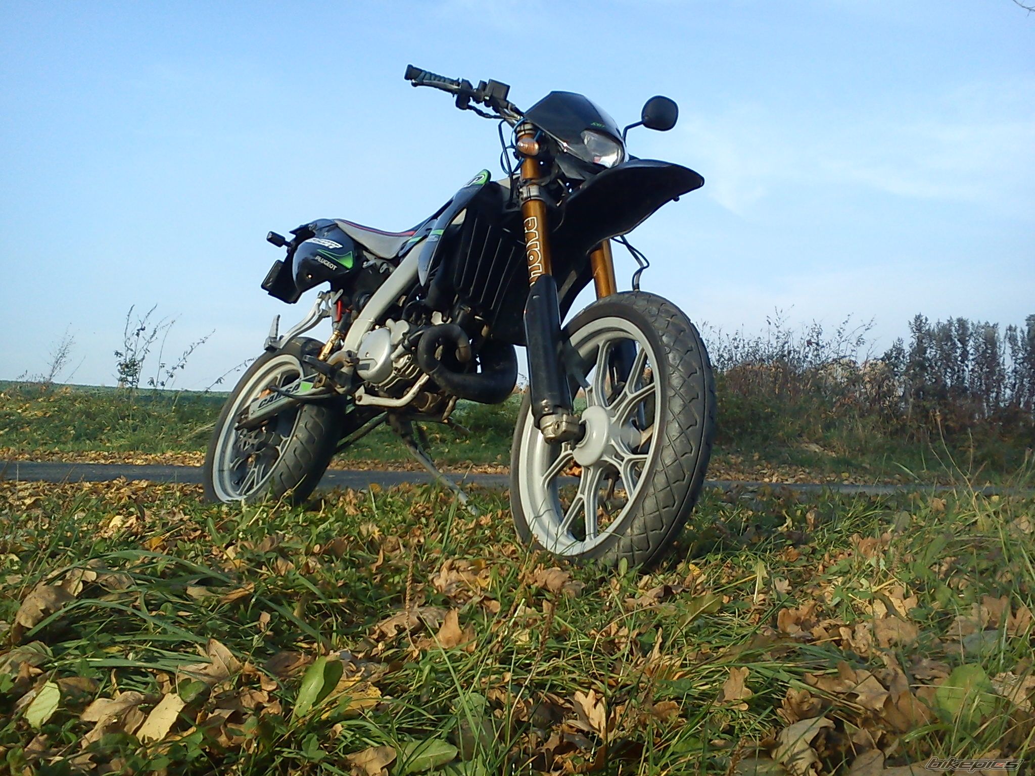 Photo 2295377