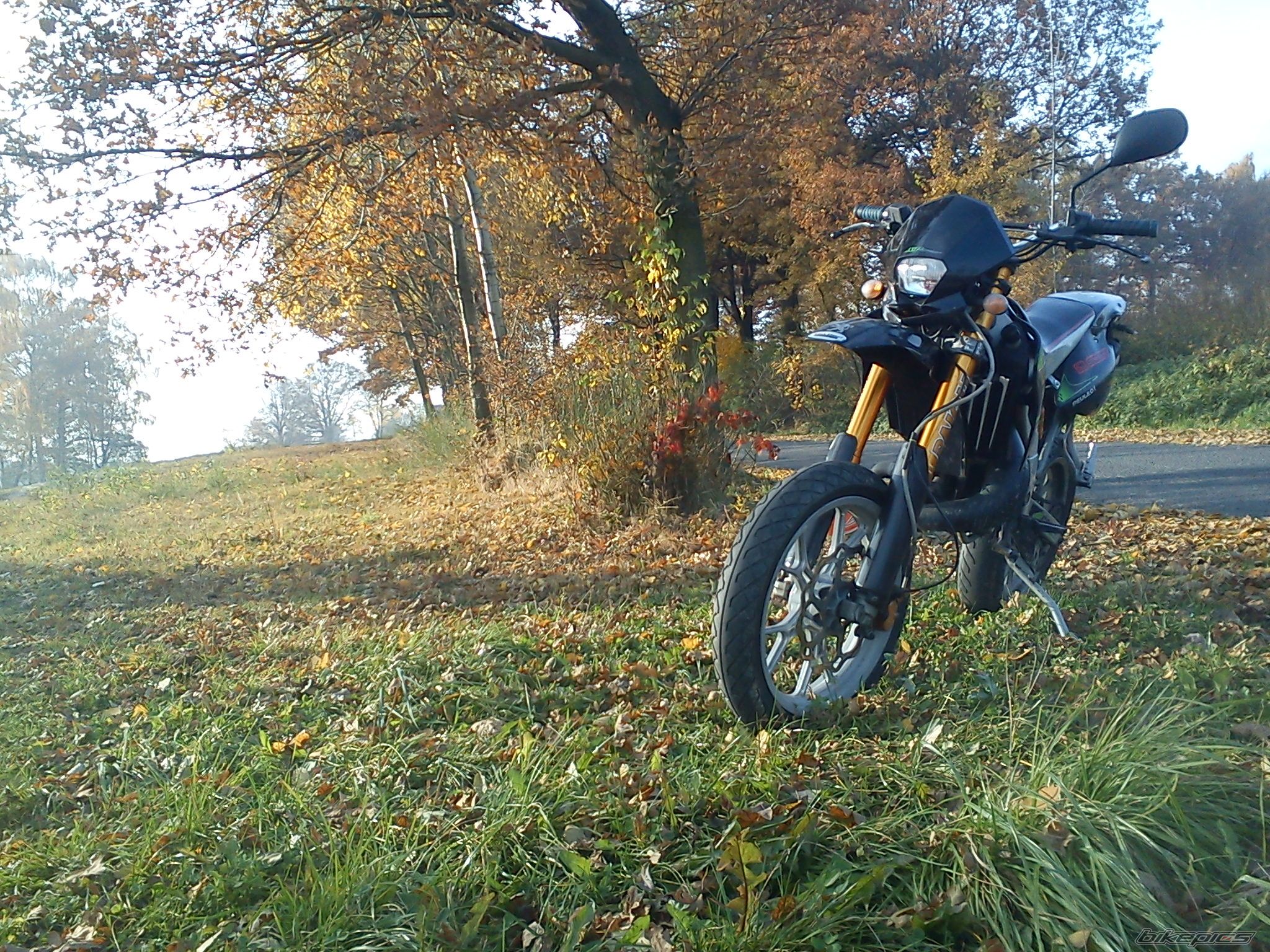 Photo 2295379