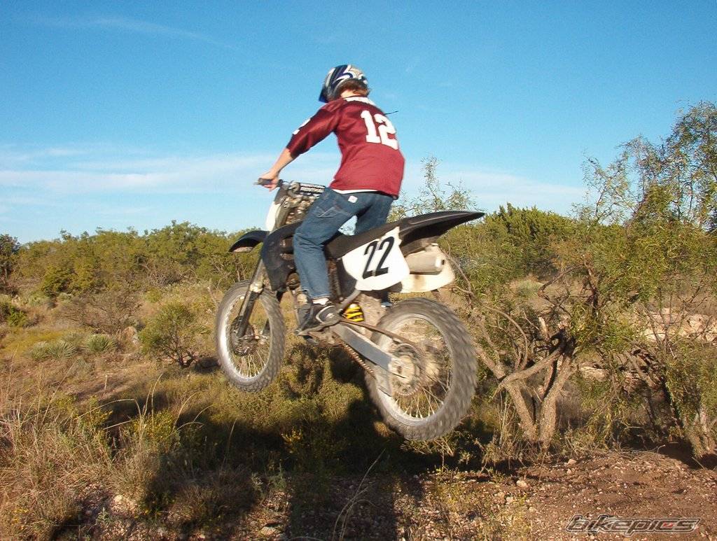 Photo 229539