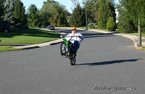 Photo 229542