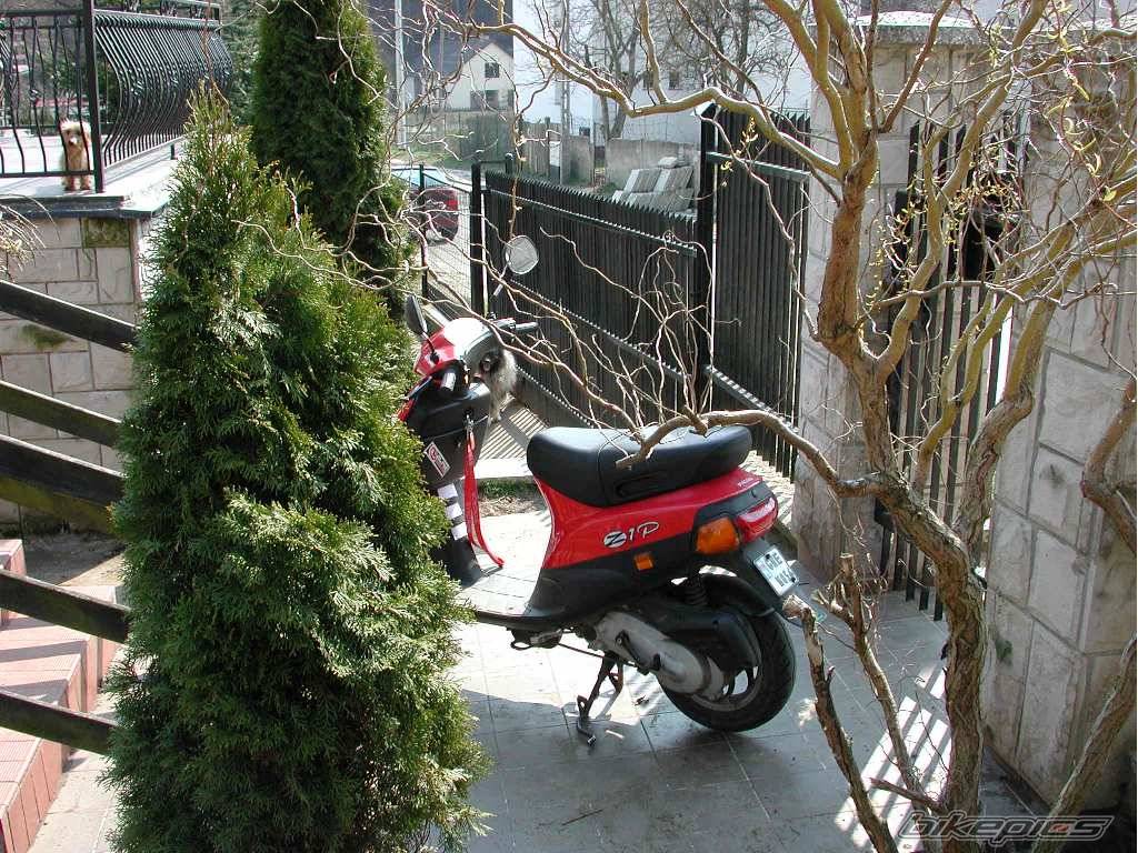 Bike Photo 22955