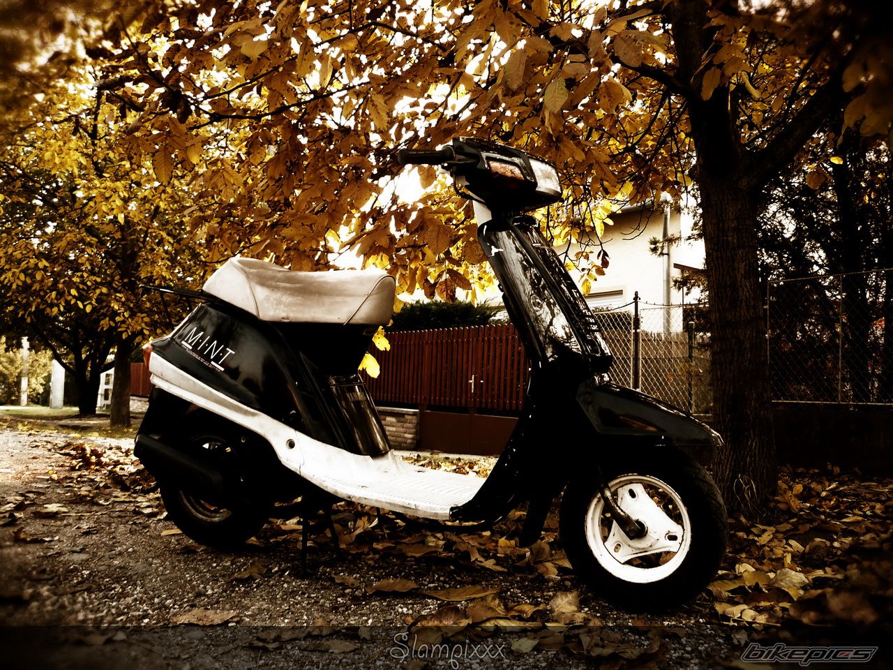 Photo 2295509