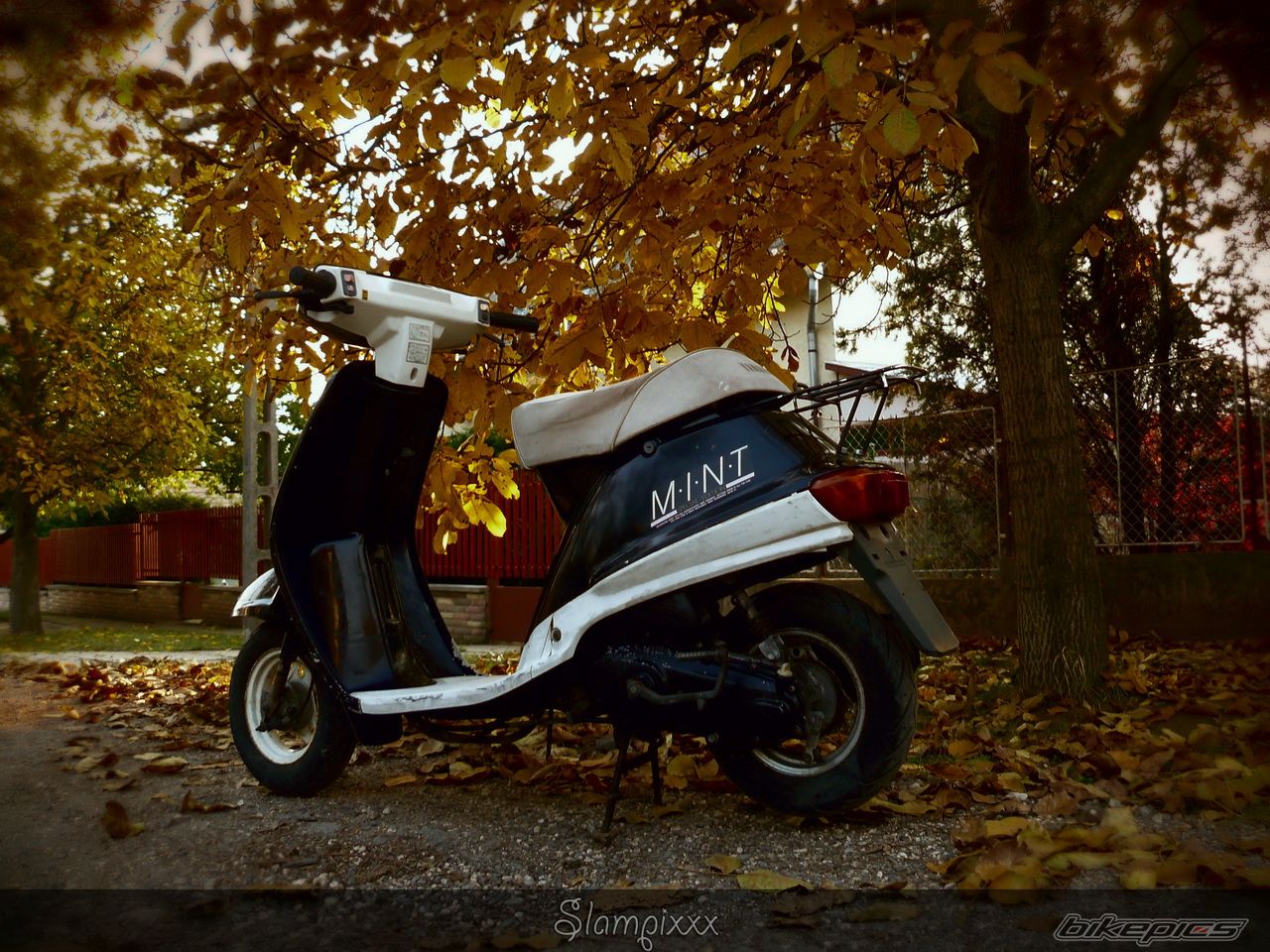 Bike Photo 2295510