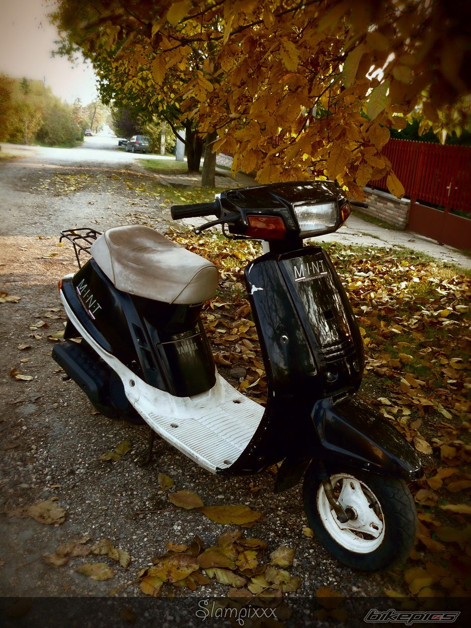 Bike Photo 2295511