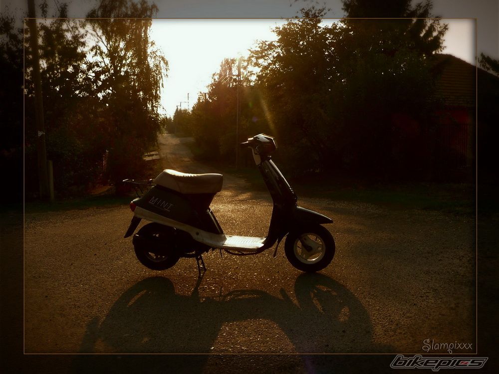 Bike Photo 2295512