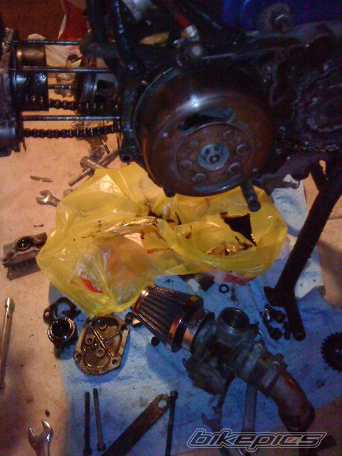 Photo 2295521
