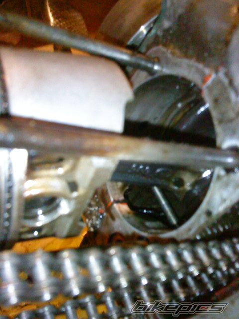 Photo 2295524