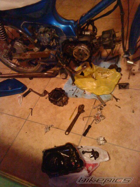 Photo 2295530