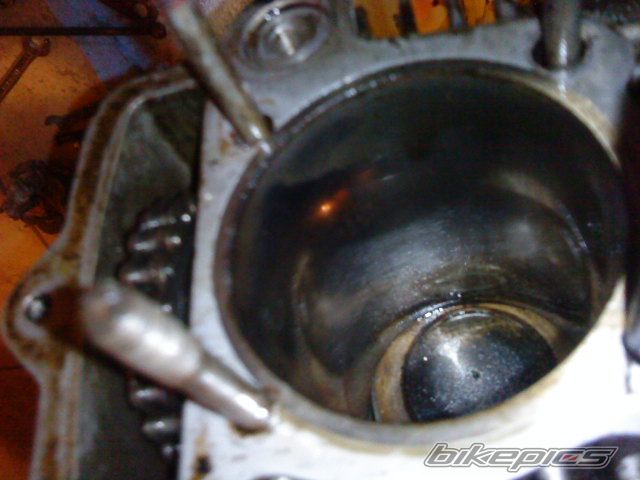 Photo 2295531