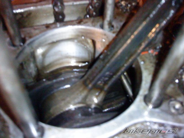 Photo 2295547