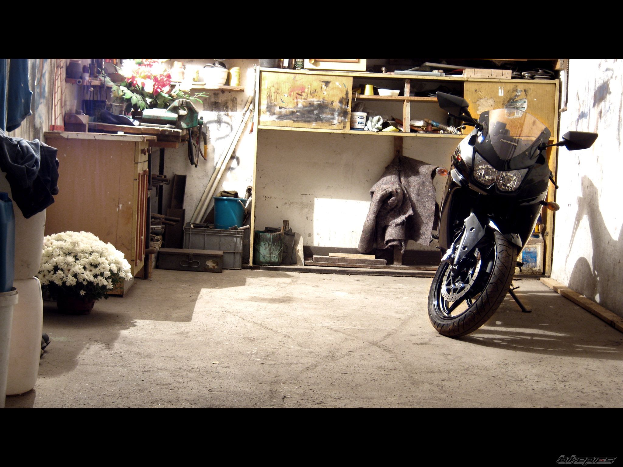Photo 2295564