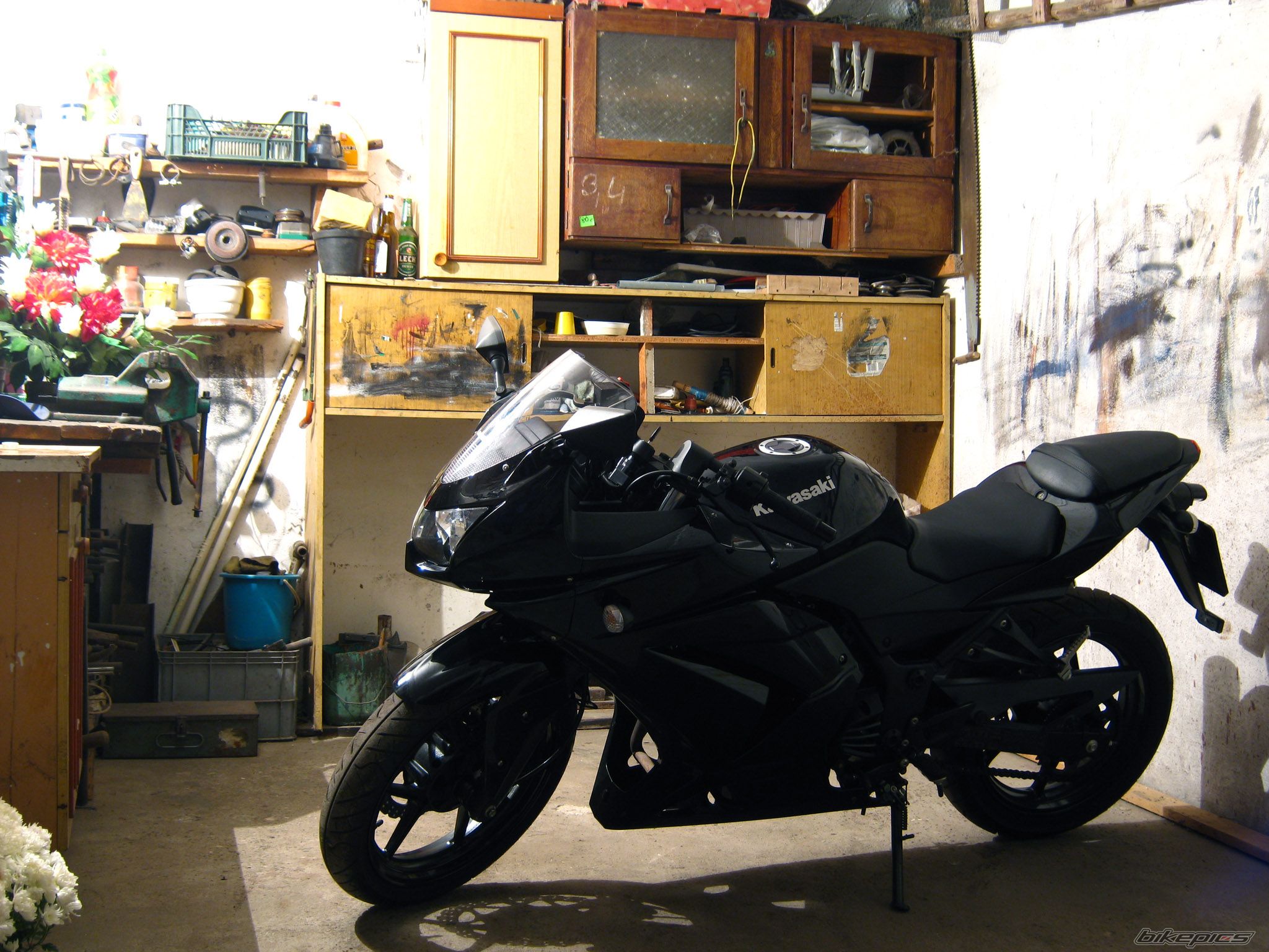 Photo 2295566