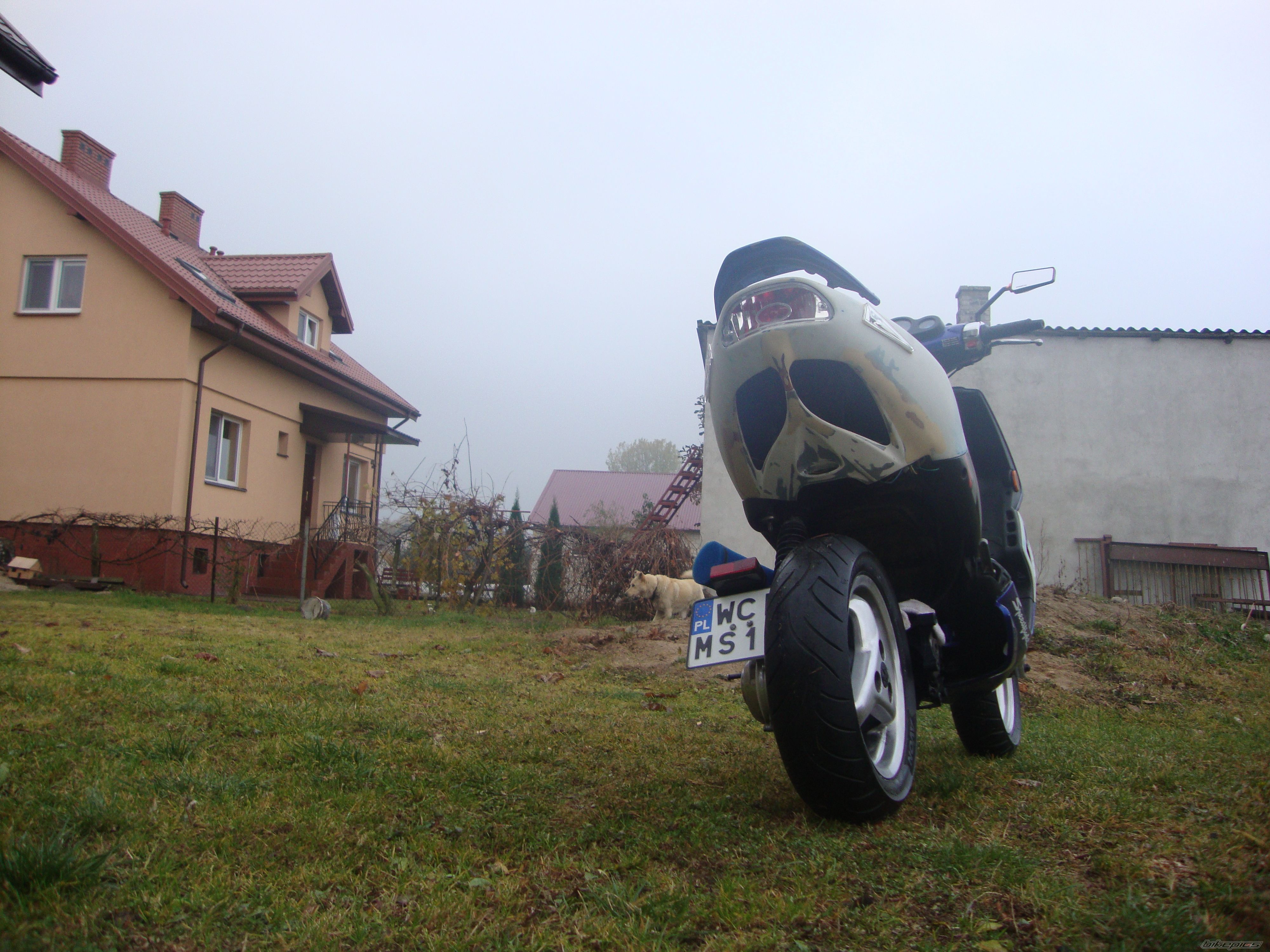 Photo 2295573