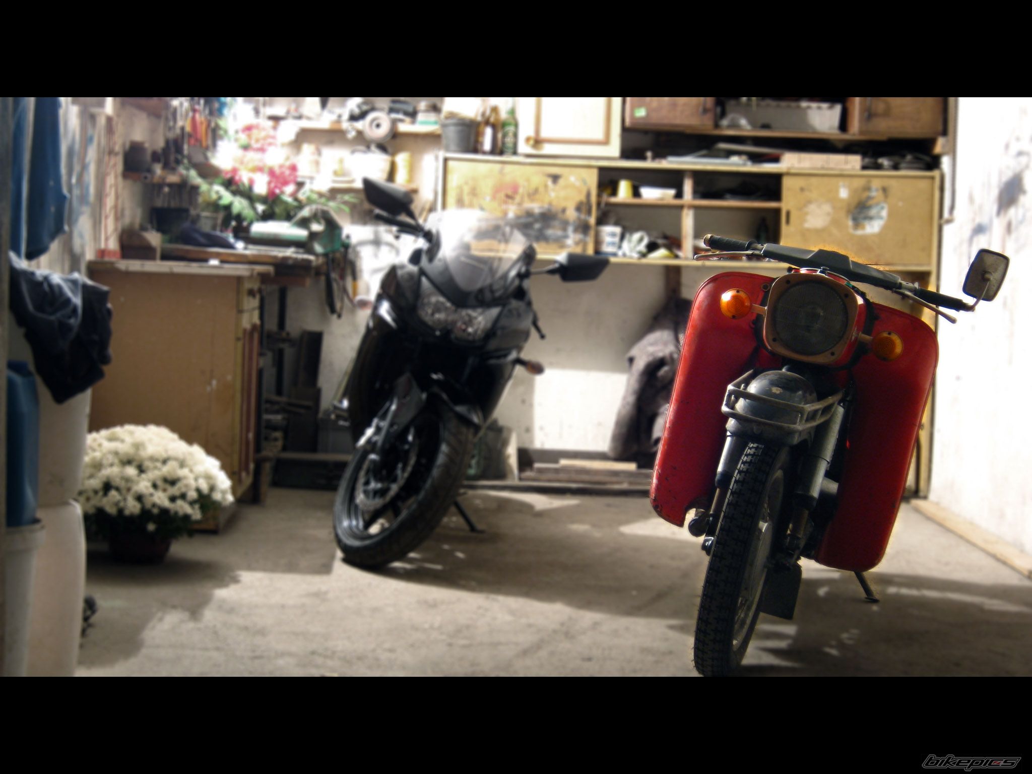 Photo 2295579