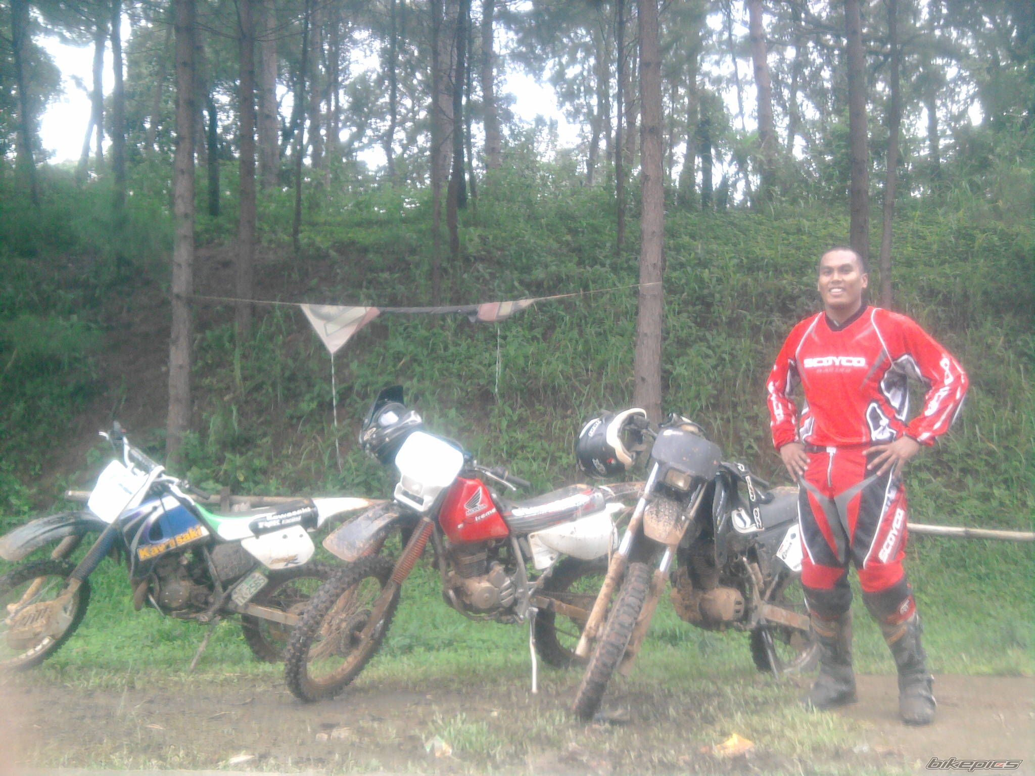 Photo 2295591
