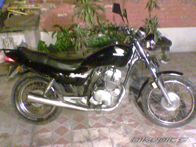 Photo 2295593