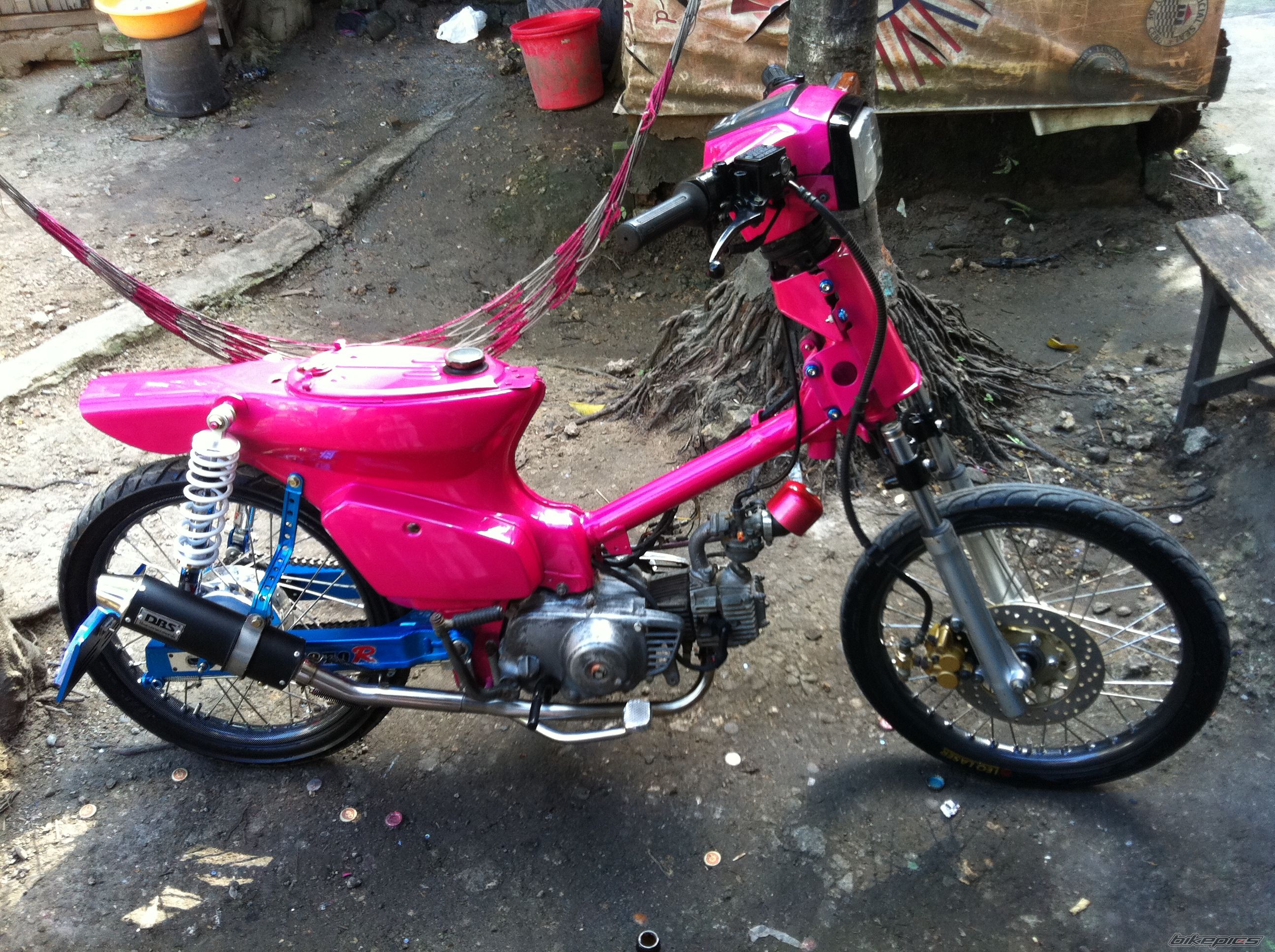 Photo 2295614