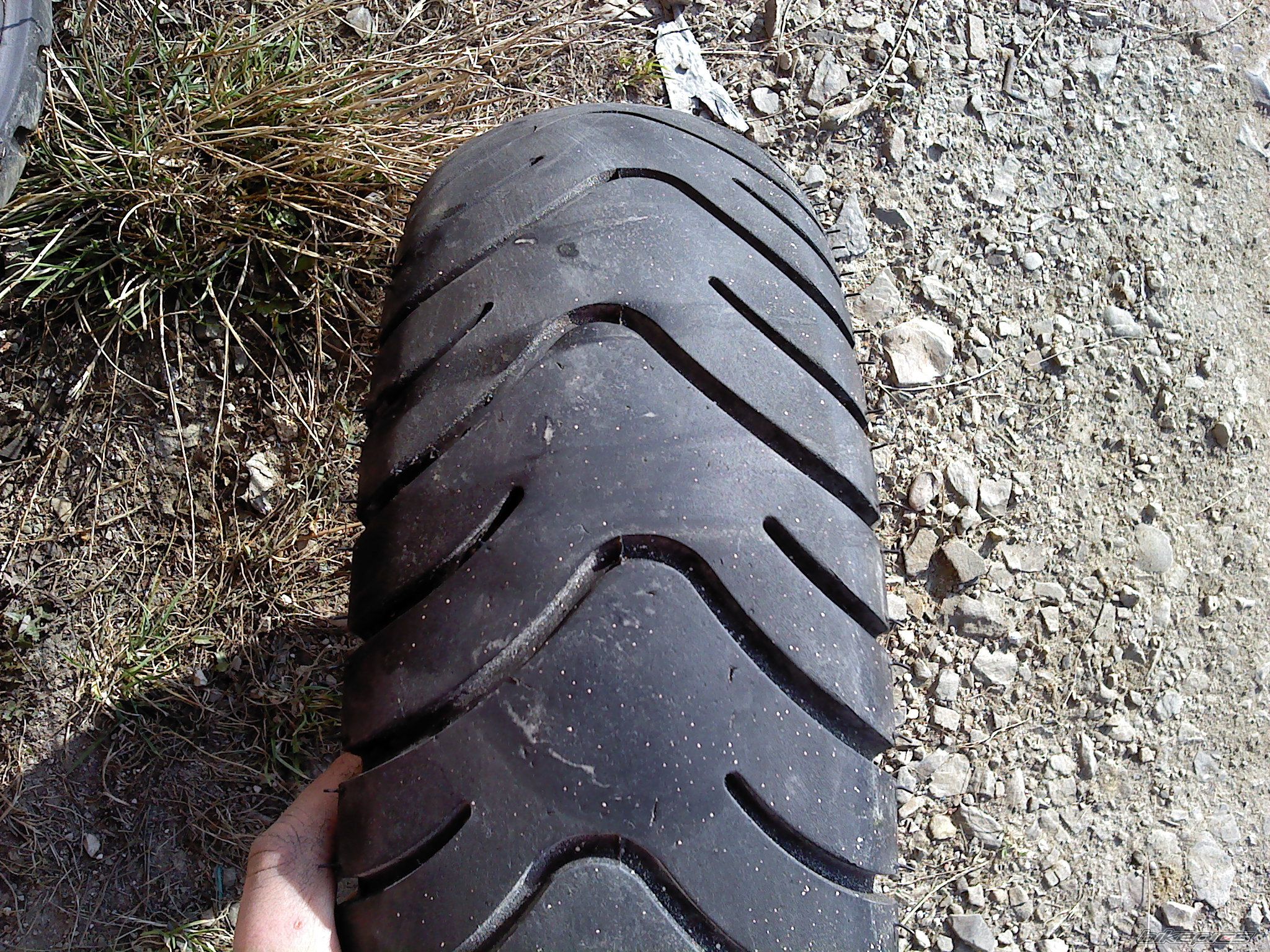Photo 2295650