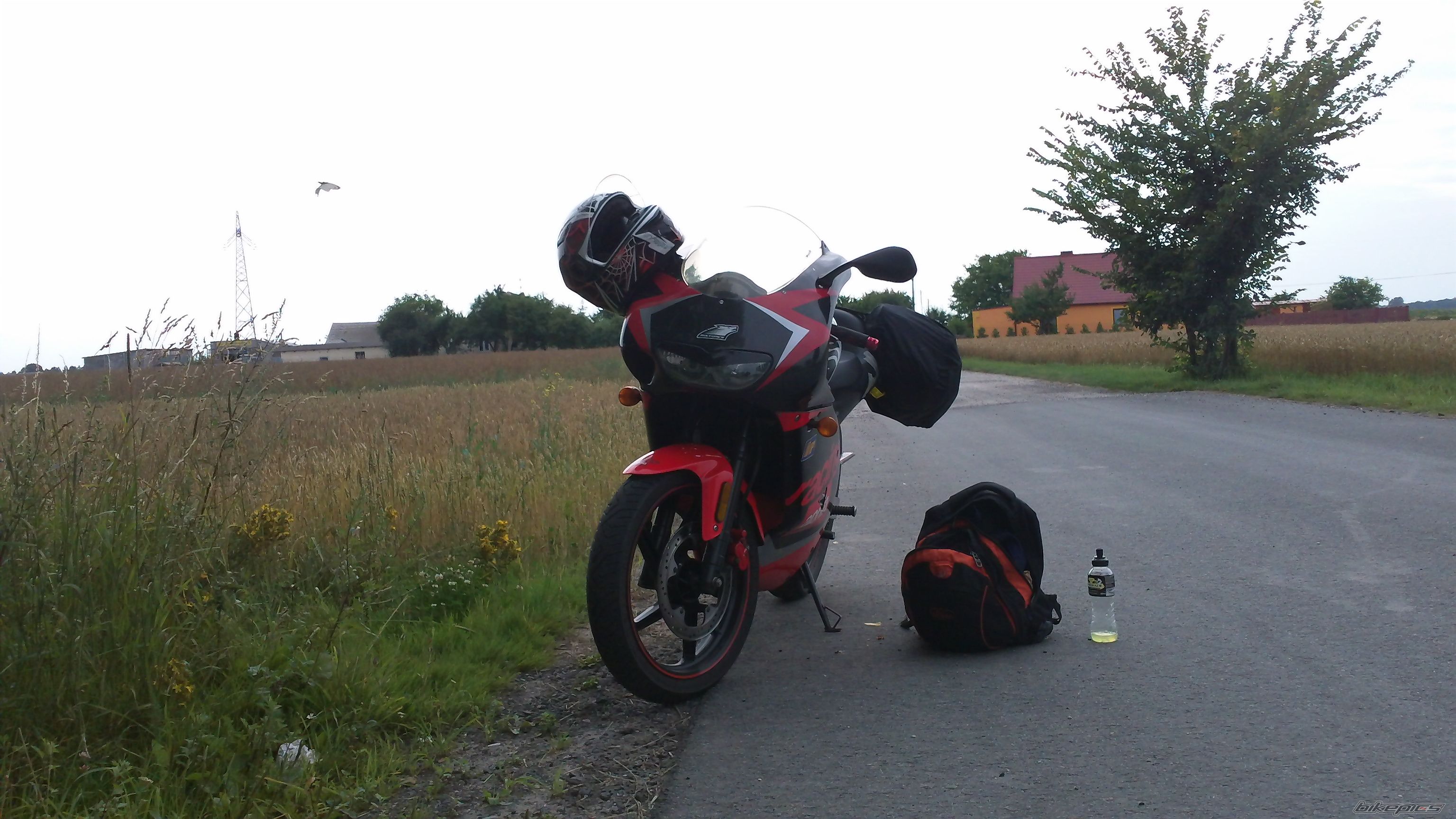 Photo 2295663