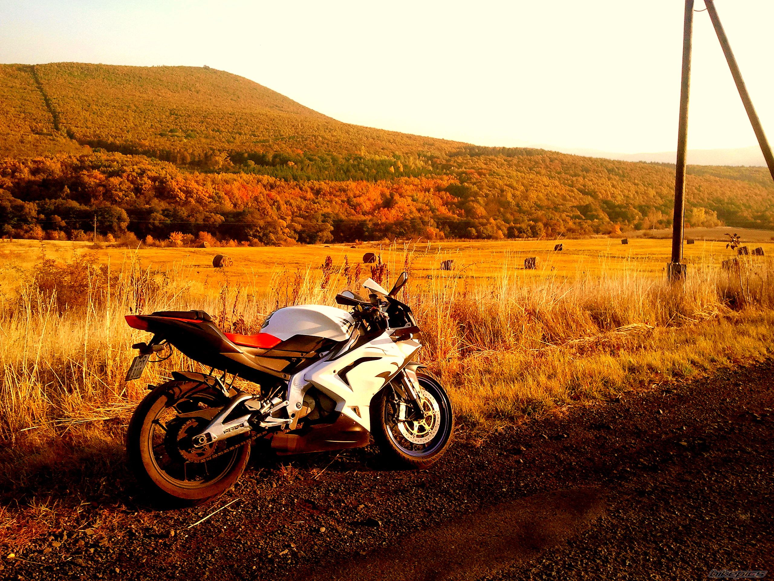 Photo 2295666