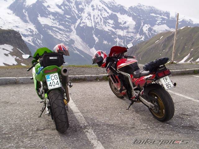 Photo 229567