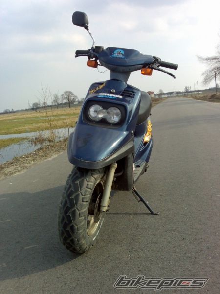 Photo 2295670
