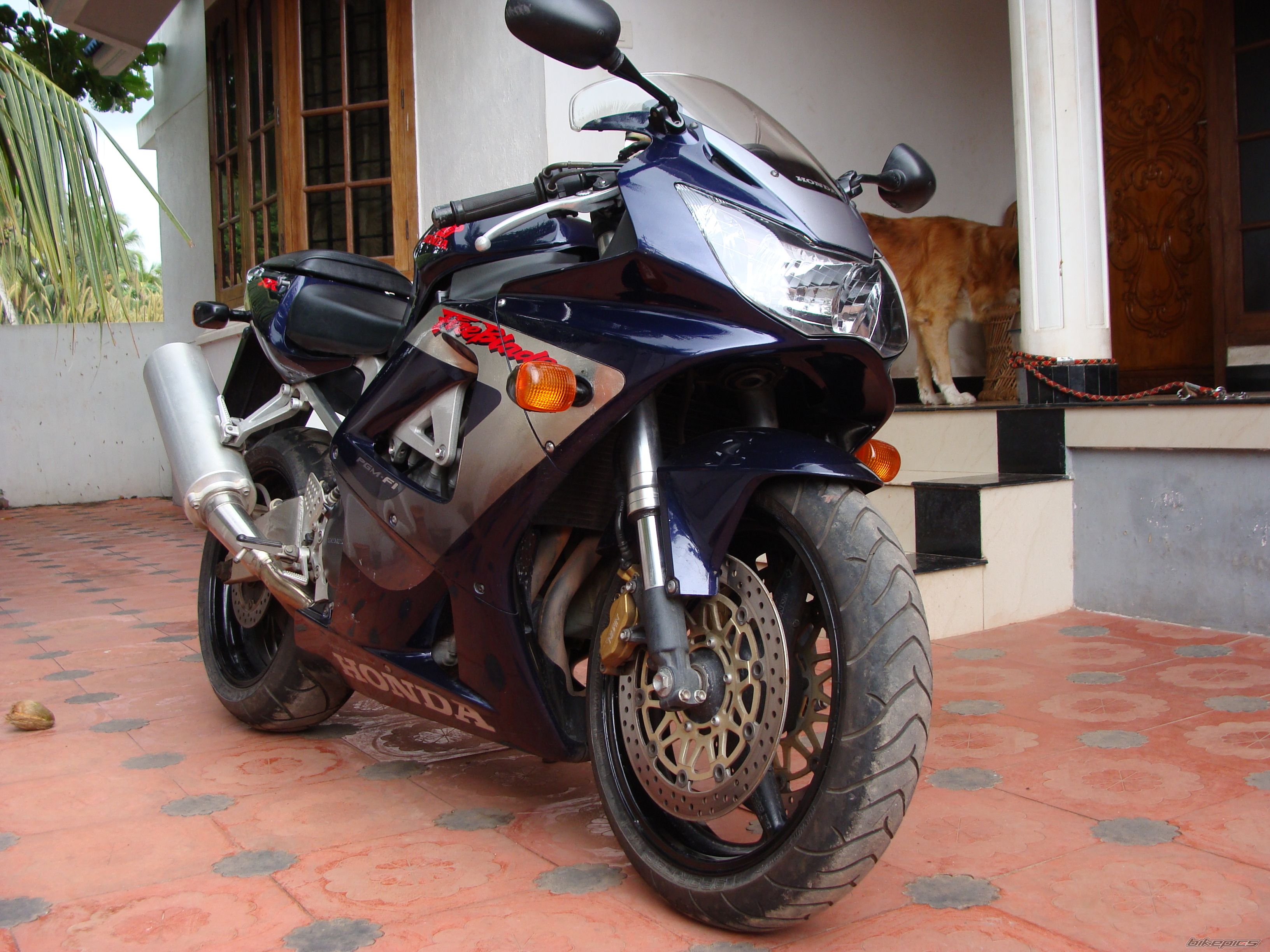 Bike Photo 2295672