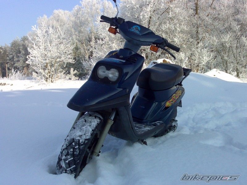 Photo 2295673