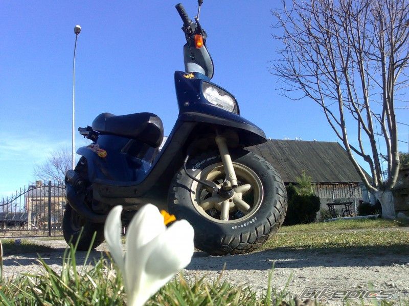 Photo 2295675