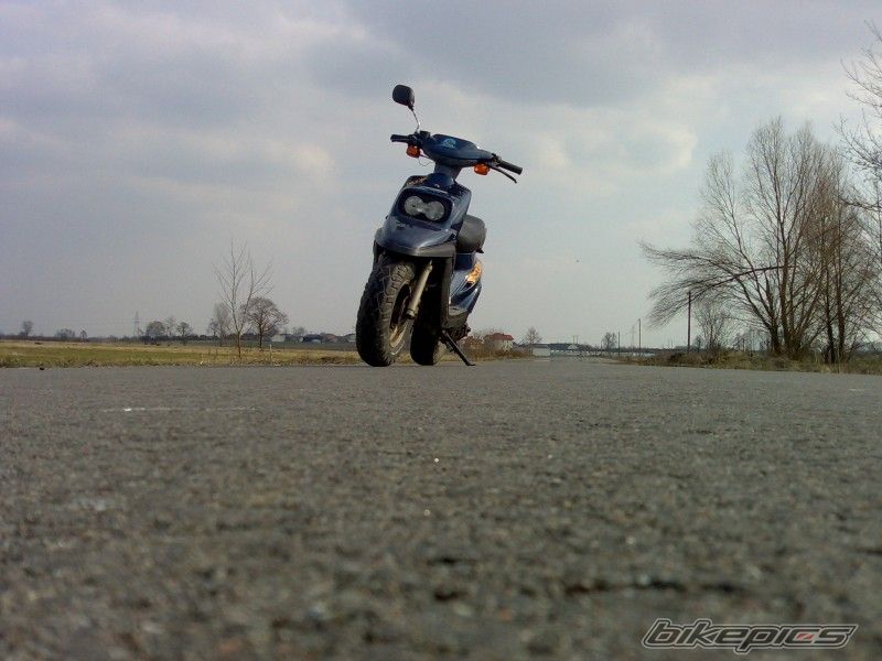 Photo 2295677