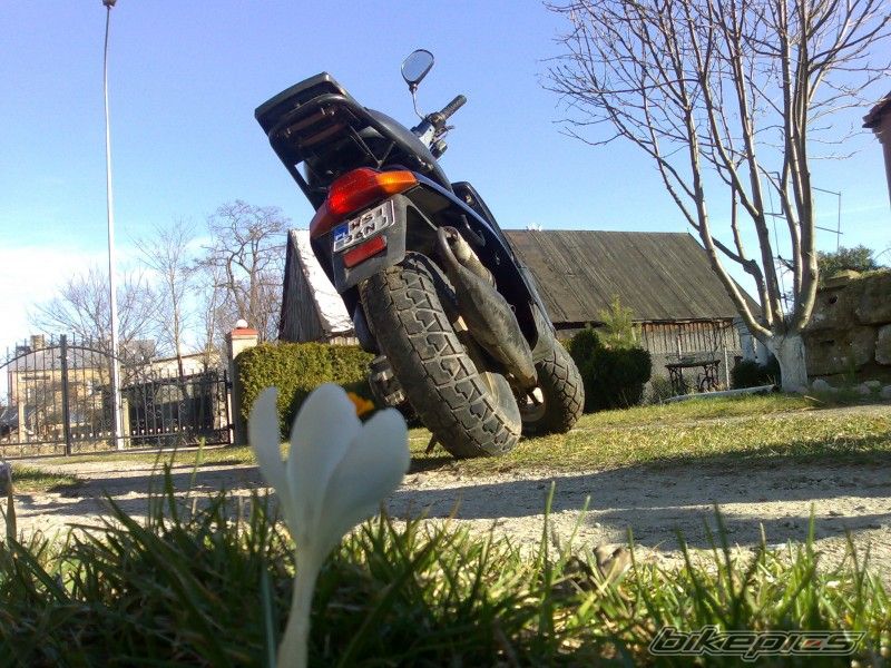 Photo 2295678
