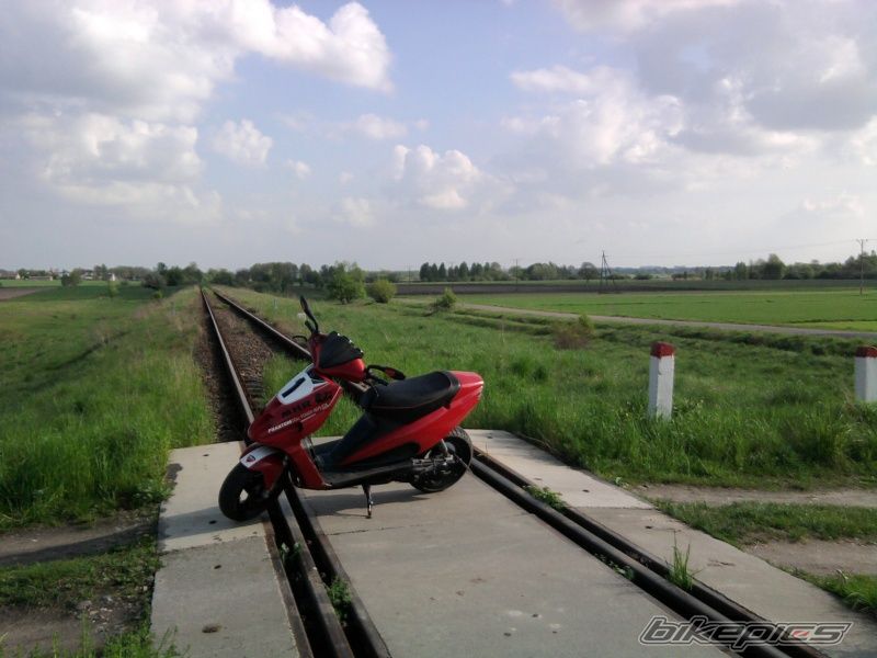 Photo 2295685
