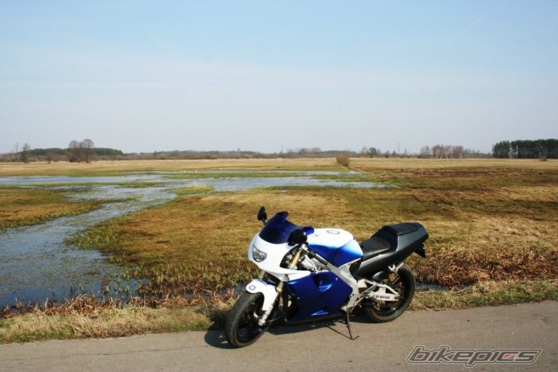 Photo 2295687