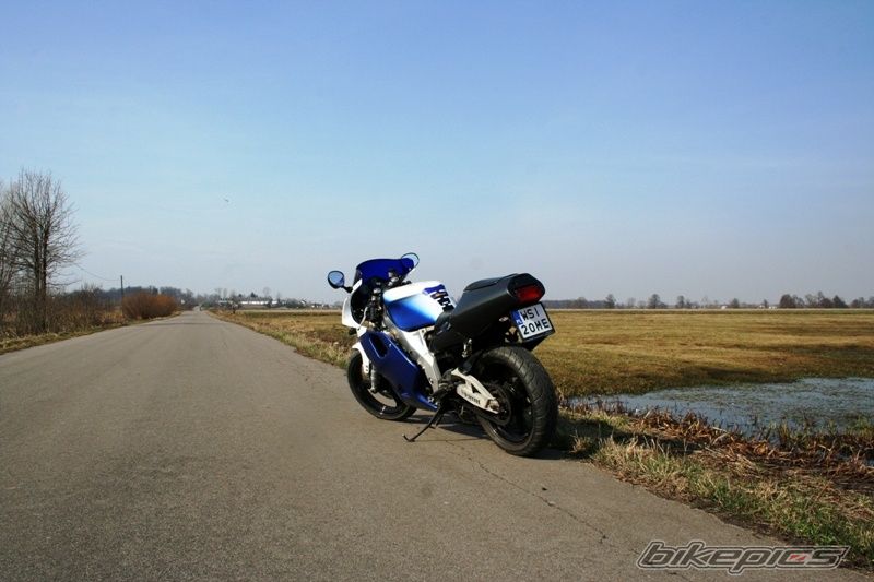 Photo 2295689