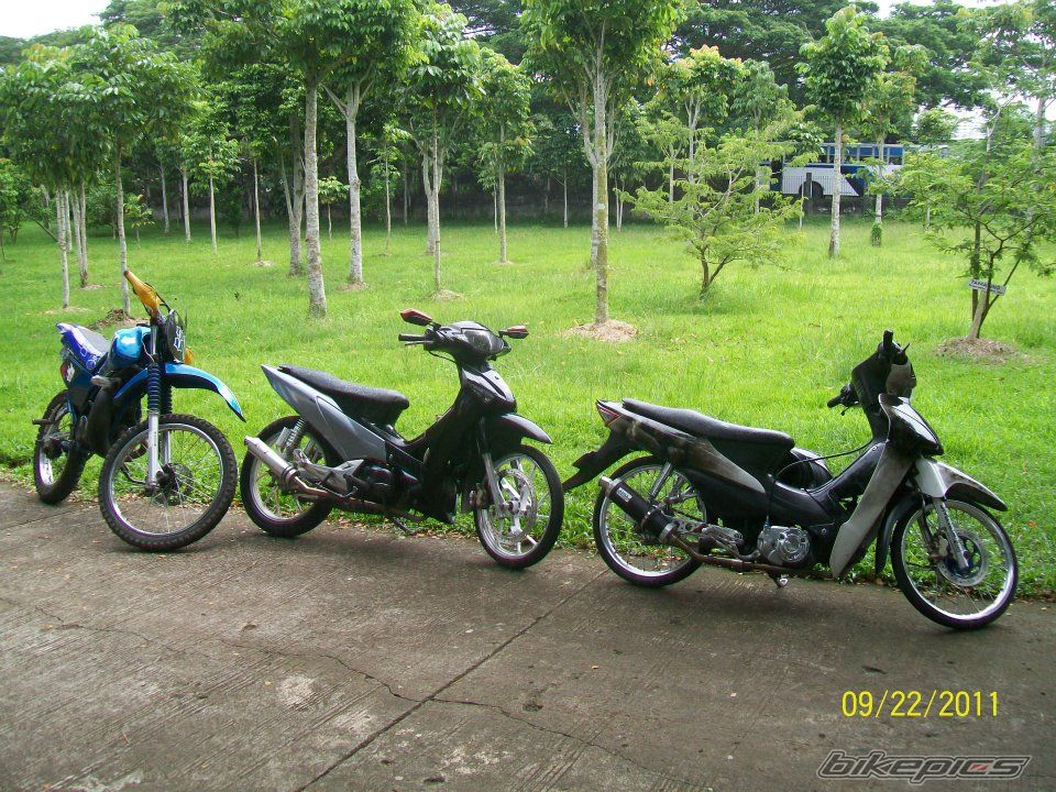 Photo 2295719