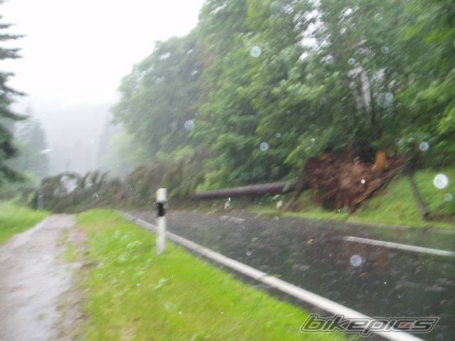 Photo 229572