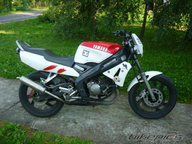 Photo 2295773