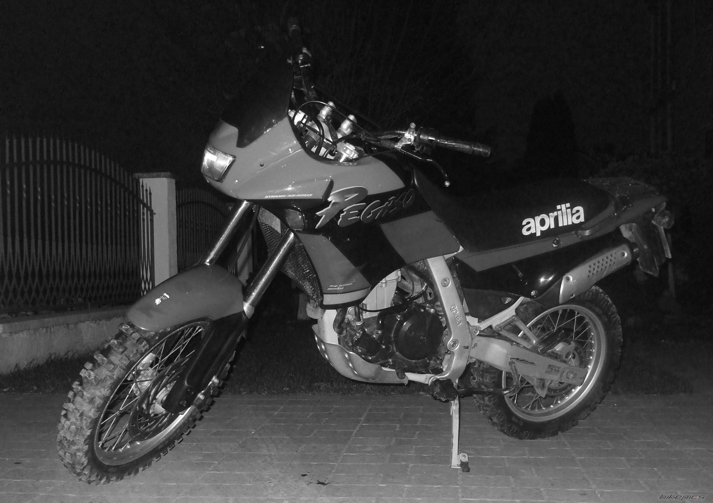 Photo 2295783